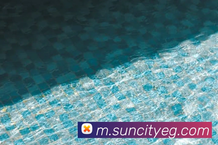 太阳城APP 体育赛事宣传图